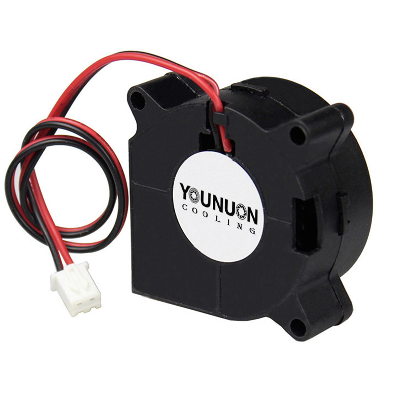 2 pezzi 40mm ventilatore 4020  - Cooling Fan 40Mm 3D recensione e prezzo